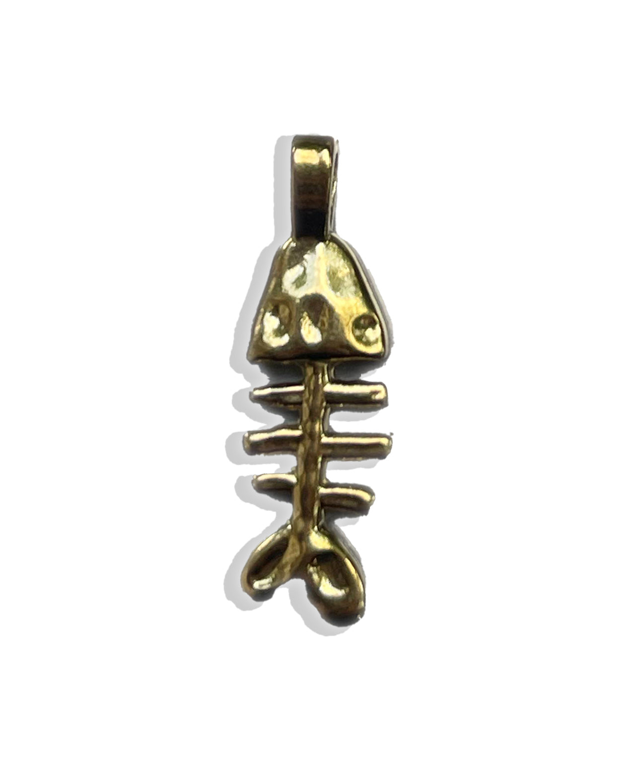 Iconic Fish Charm- Stainless Steel