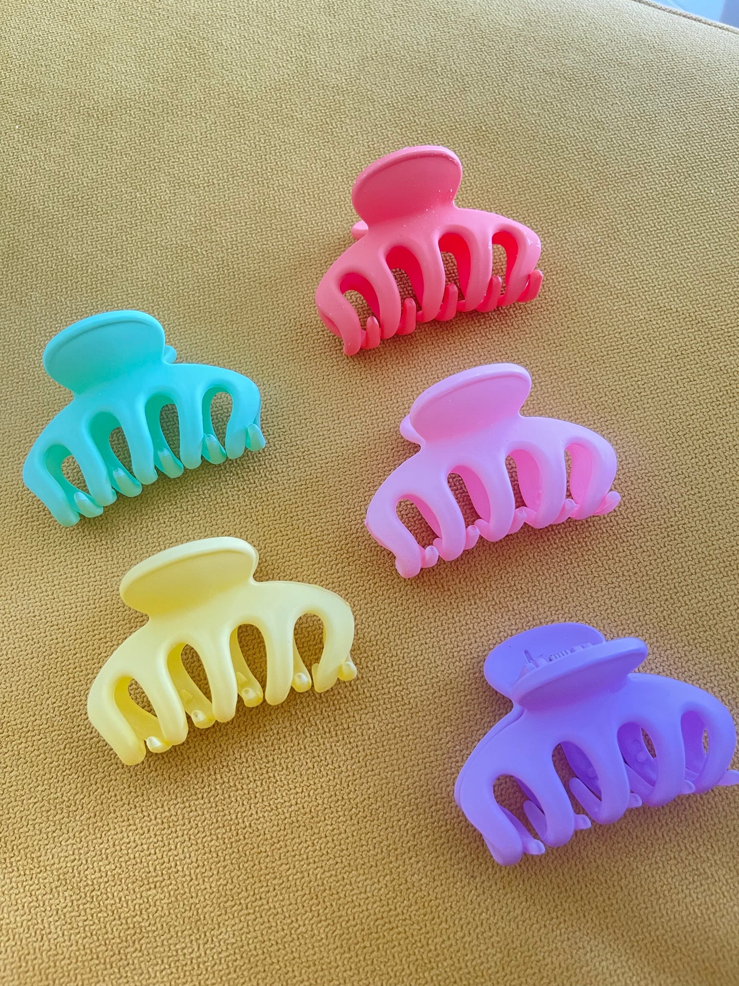 Mini Chunky Claw Clips