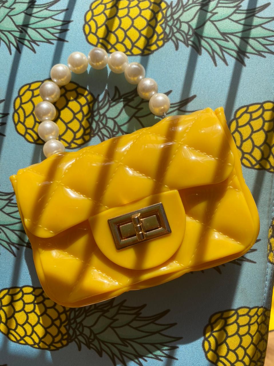 Iconic Mini Purse
