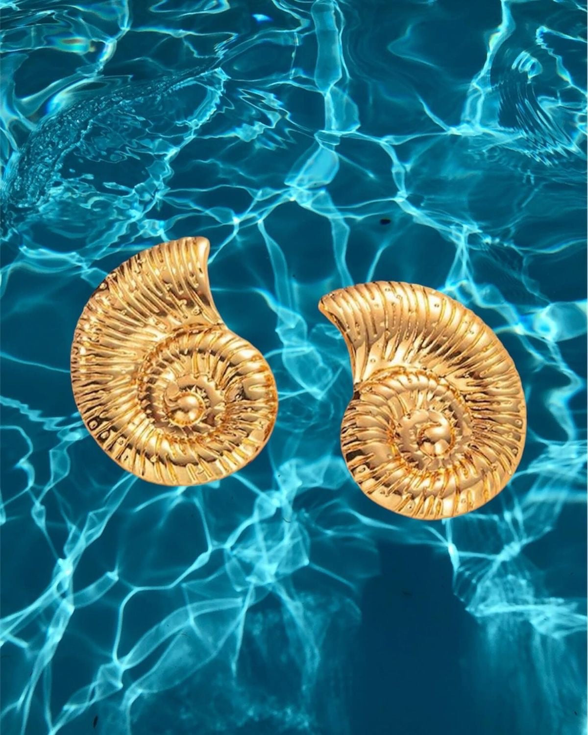 Shell Earrings 2.0 (Stainless Steel)