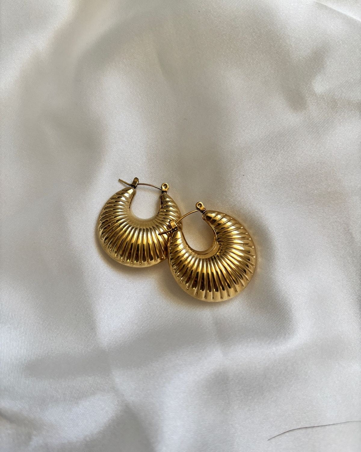 Chunky Hoop Earrings (Stainless Steel)