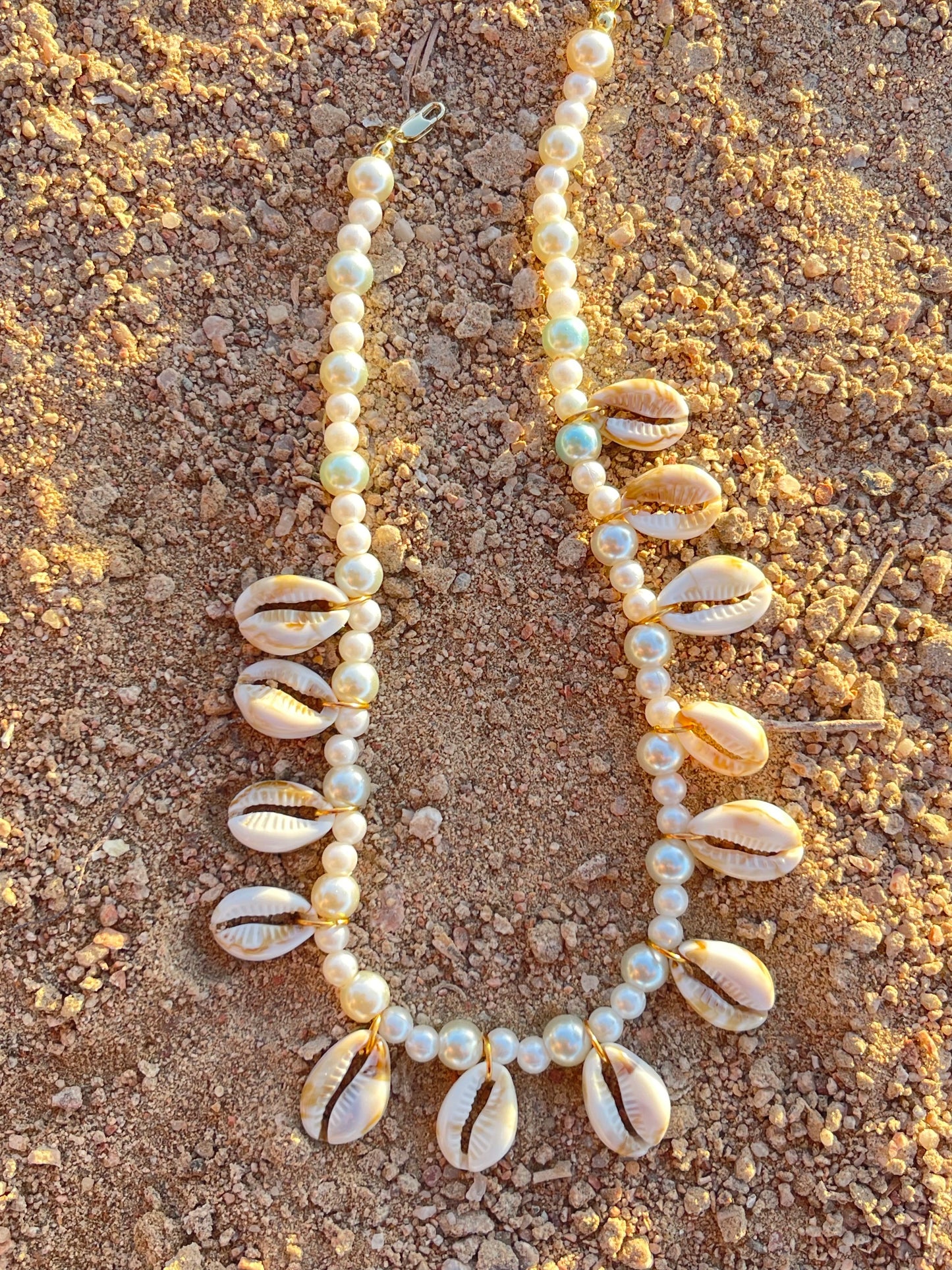 Shells All Around Necklace🤍✨🌊