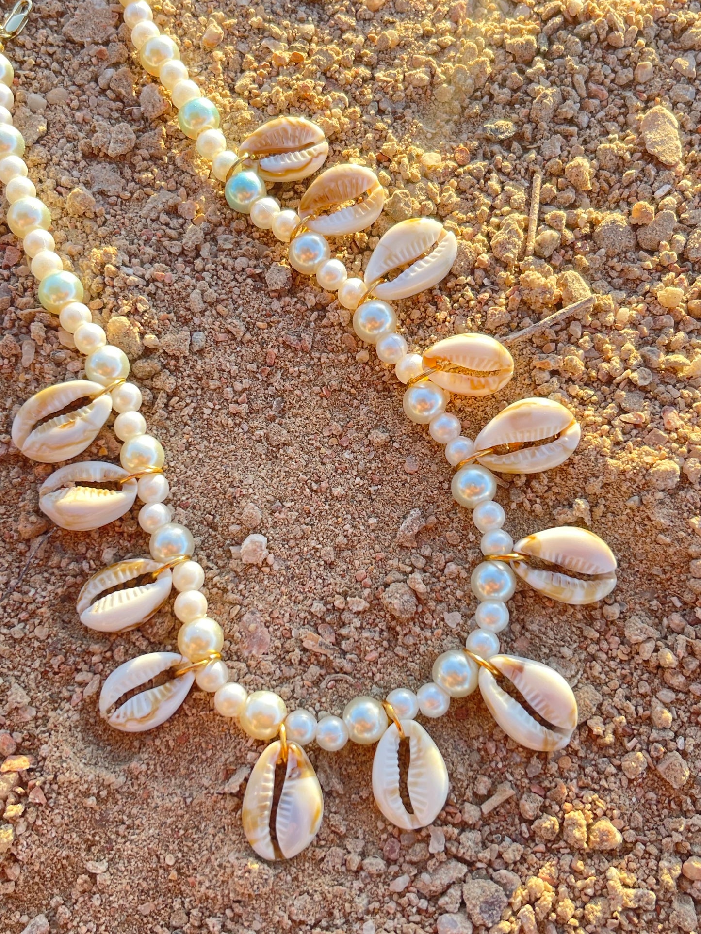 Shells All Around Necklace🤍✨🌊