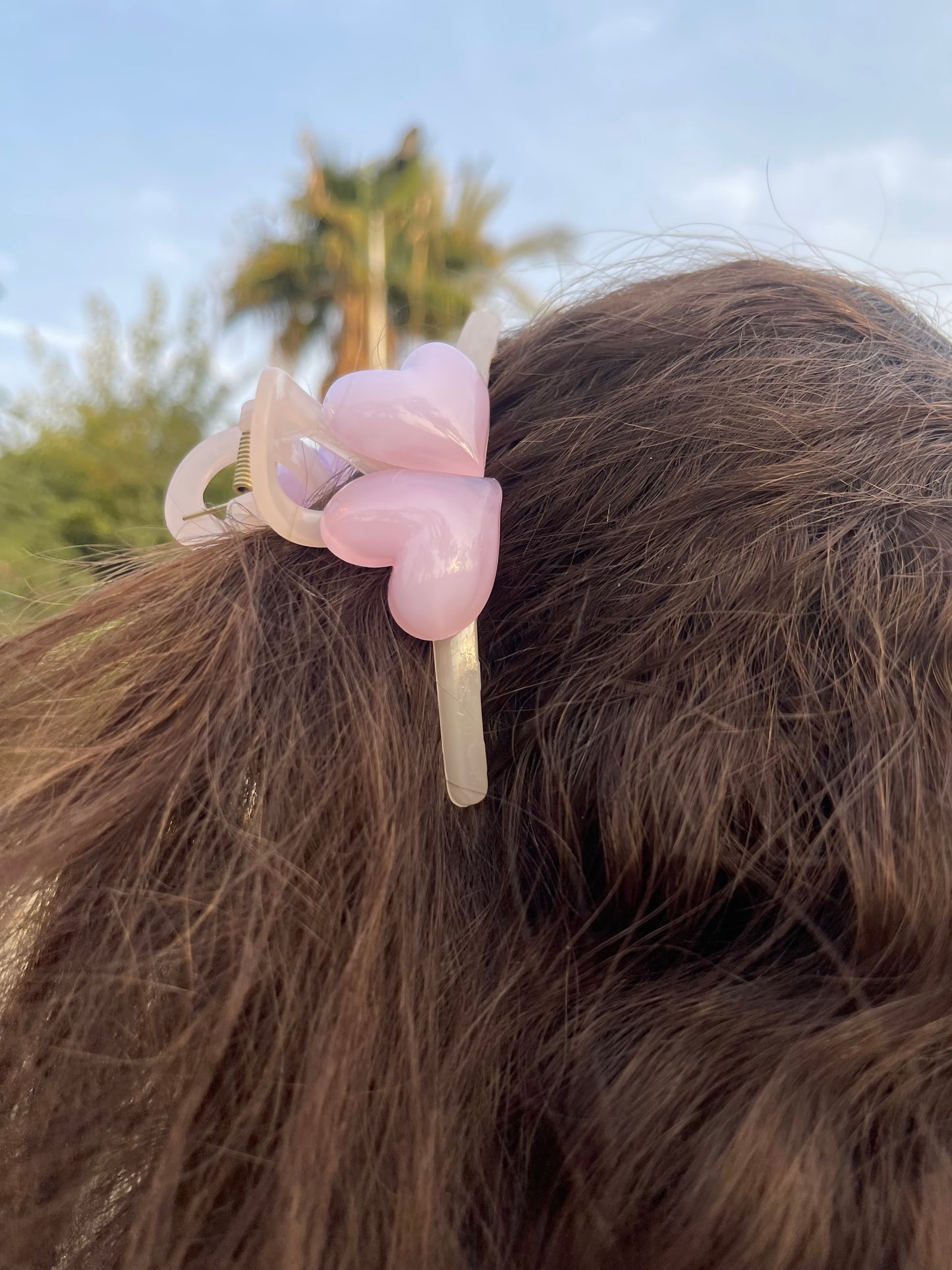 Hearts All Around Claw Clip 2.0