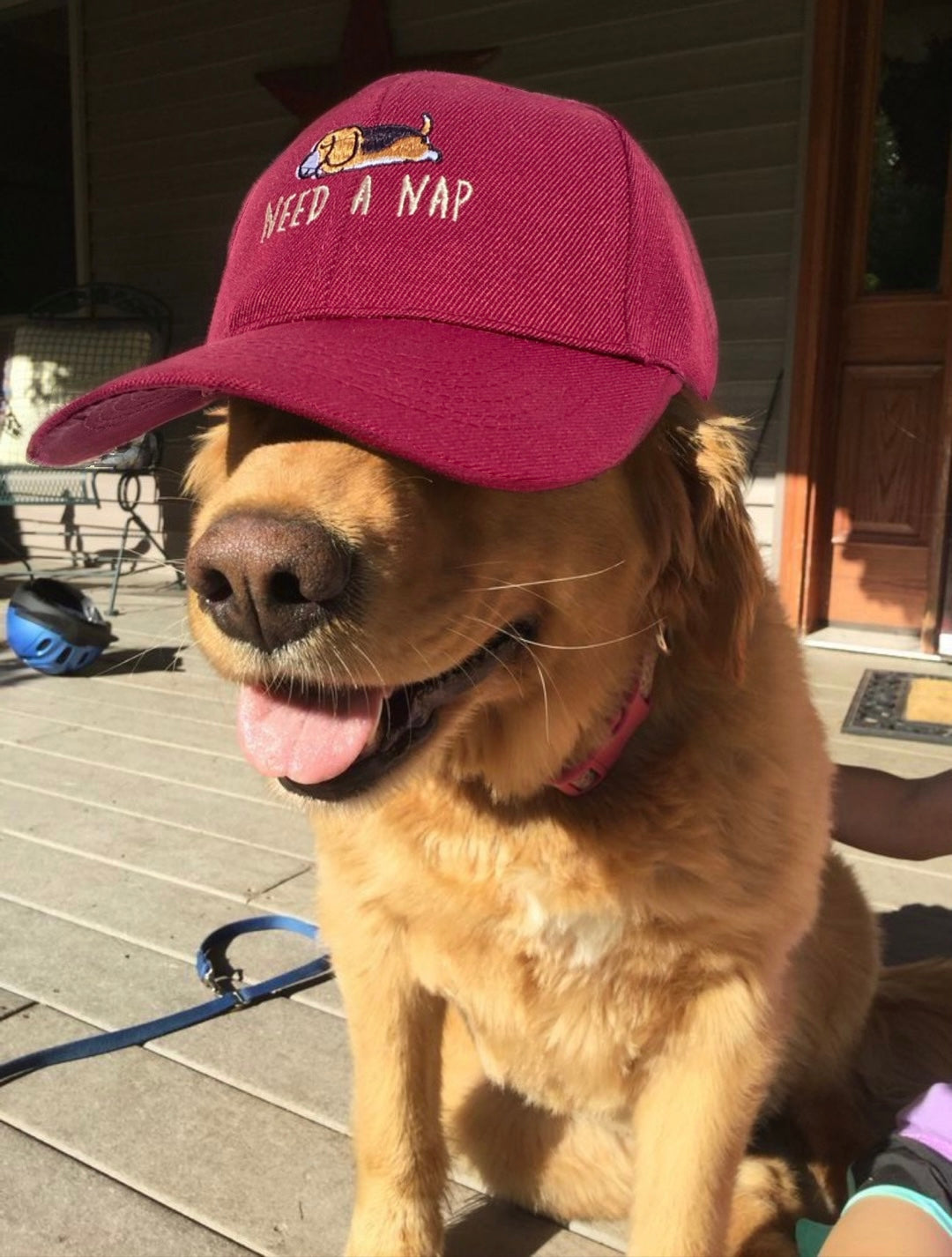 Sleepy Puppy Cap🐶🐾 - Drop 1.0!
