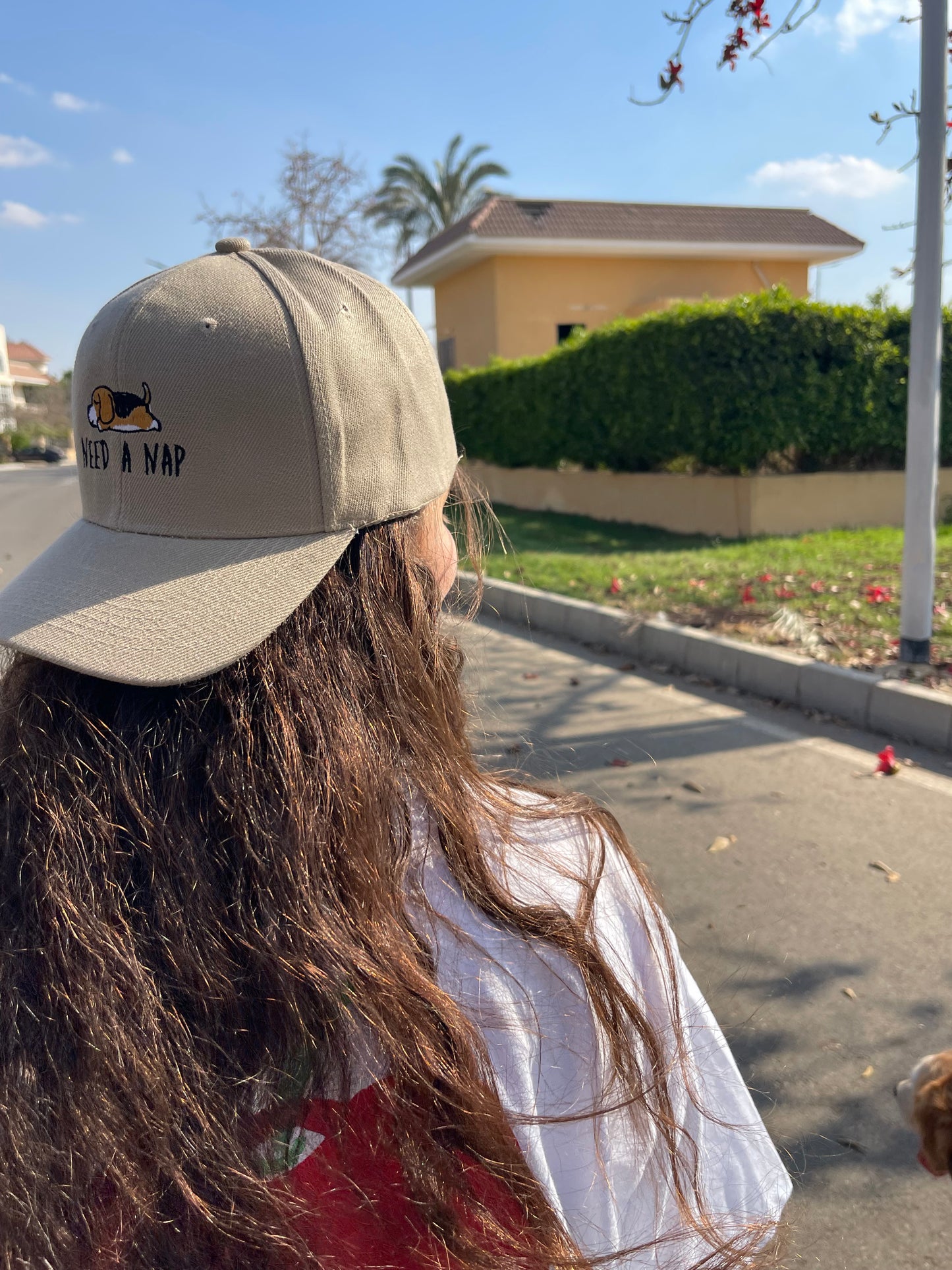 Sleepy Puppy Cap🐶🐾 - Drop 1.0!
