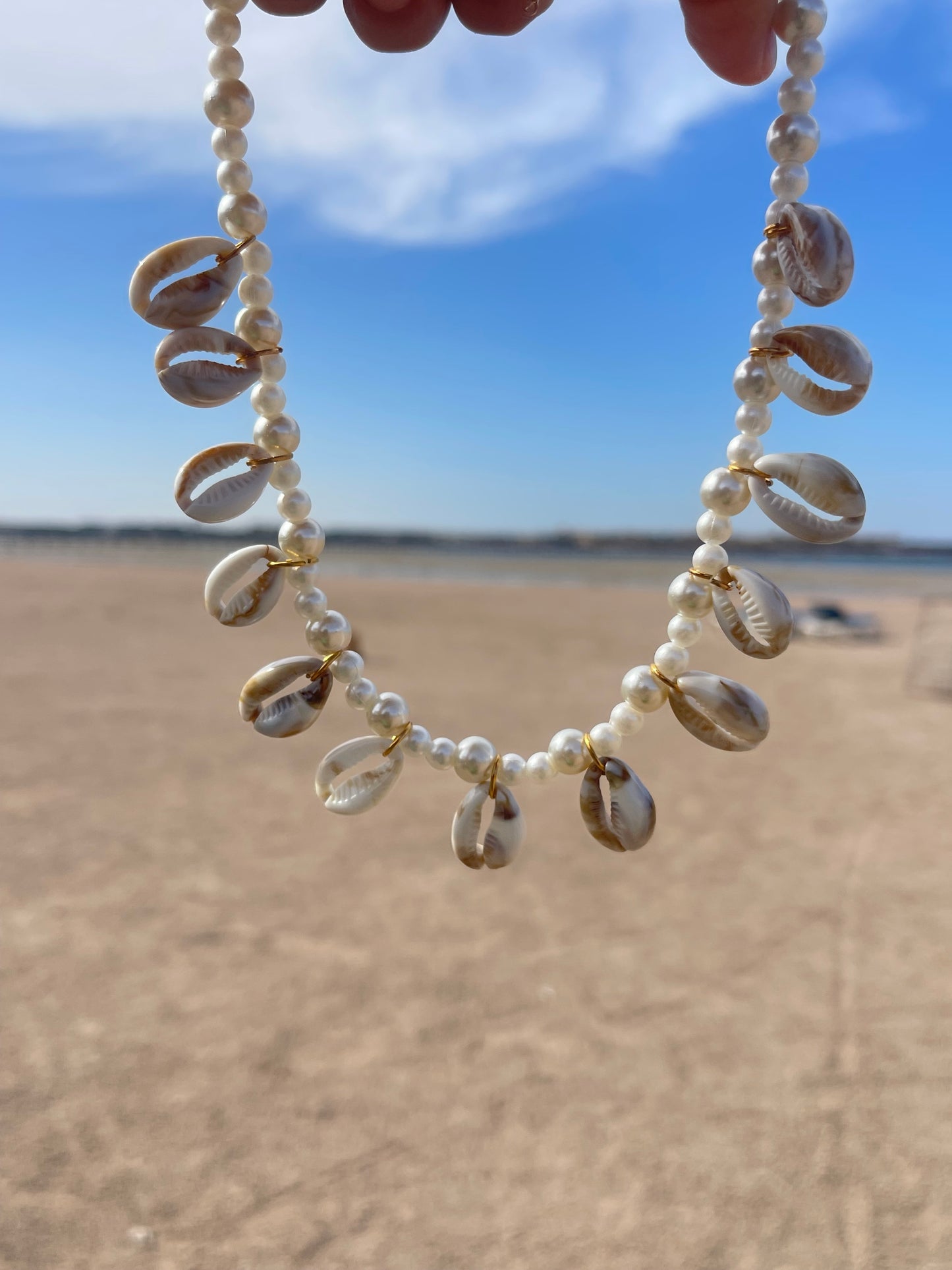 Shells All Around Necklace🤍✨🌊