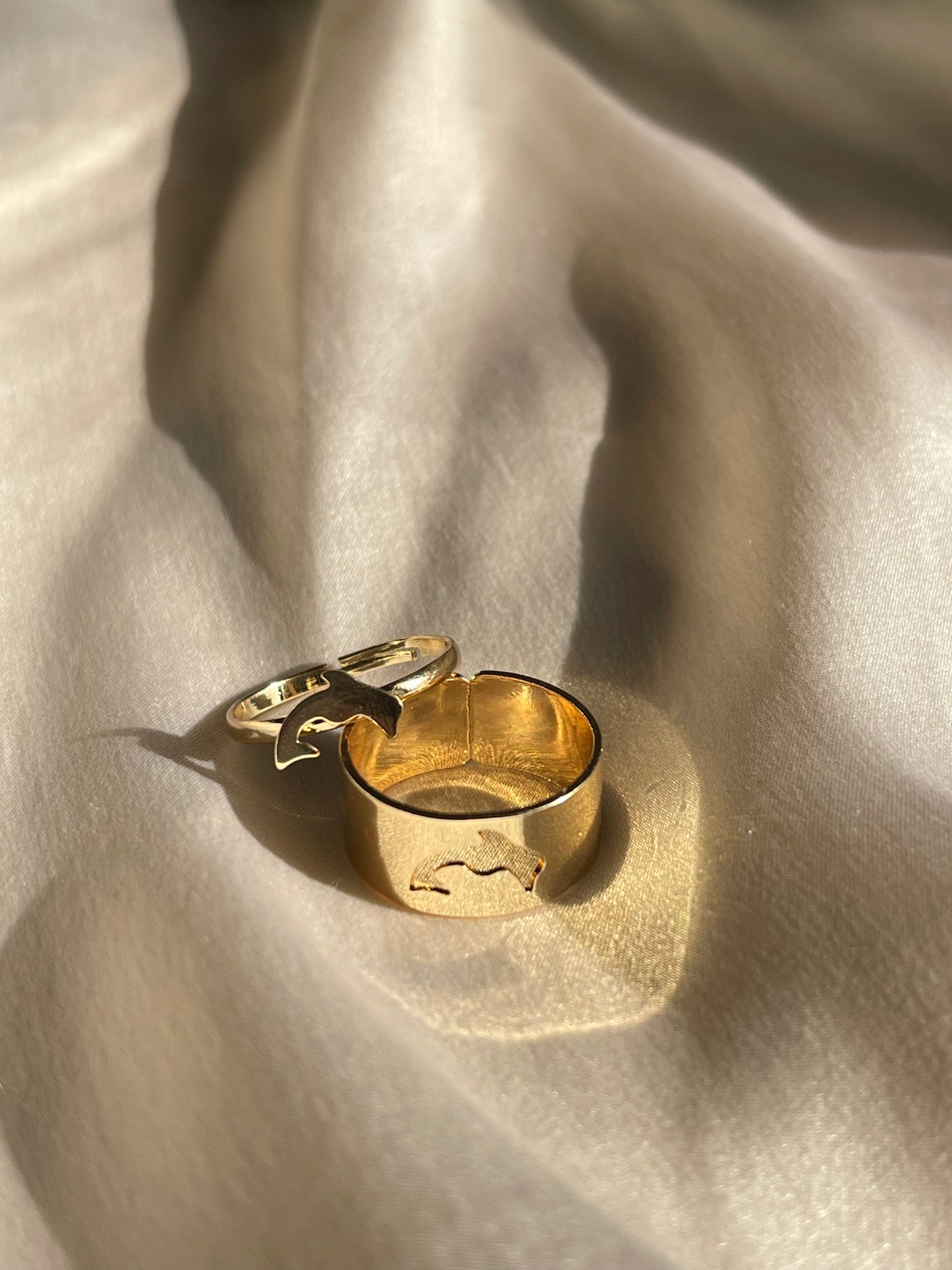Dolphin Tale Matching Rings