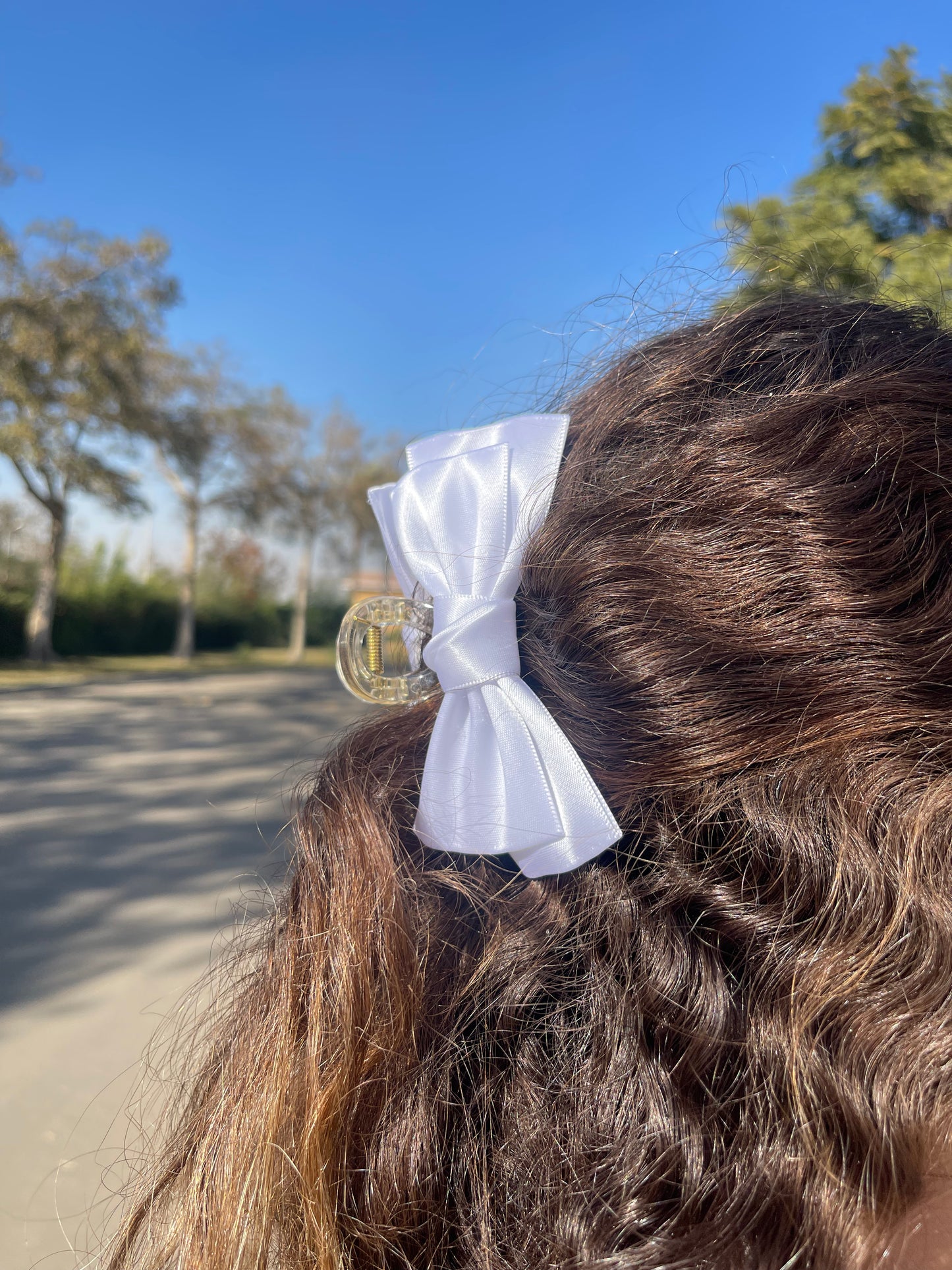 Festive Bow Tie Claw Clip