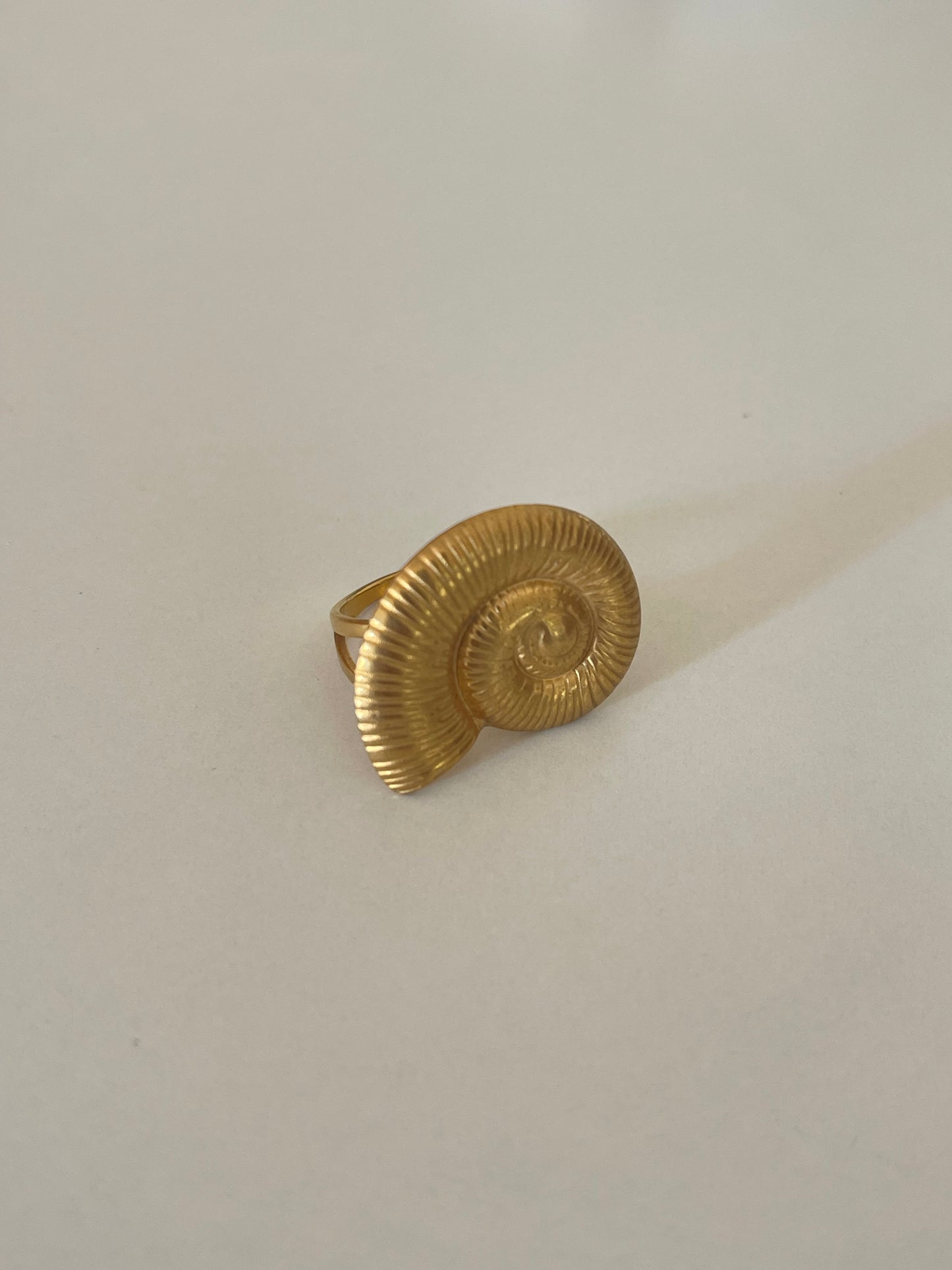 Statement Shell Ring (Stainless Steel)