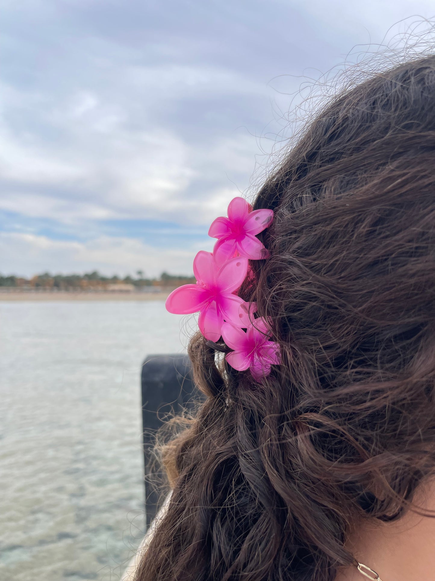 Triple Hawaiian Claw Clip