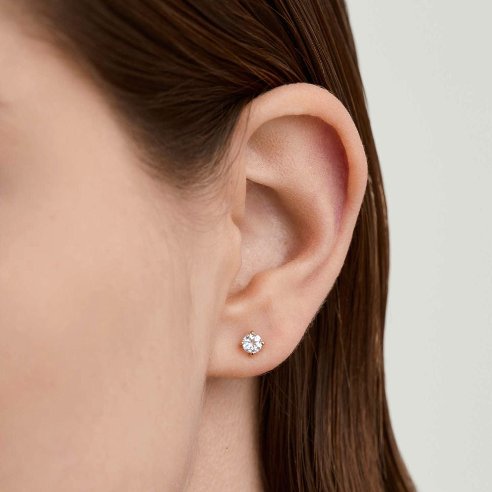 Mini Crystal Stud Earrings (Stainless Steel)