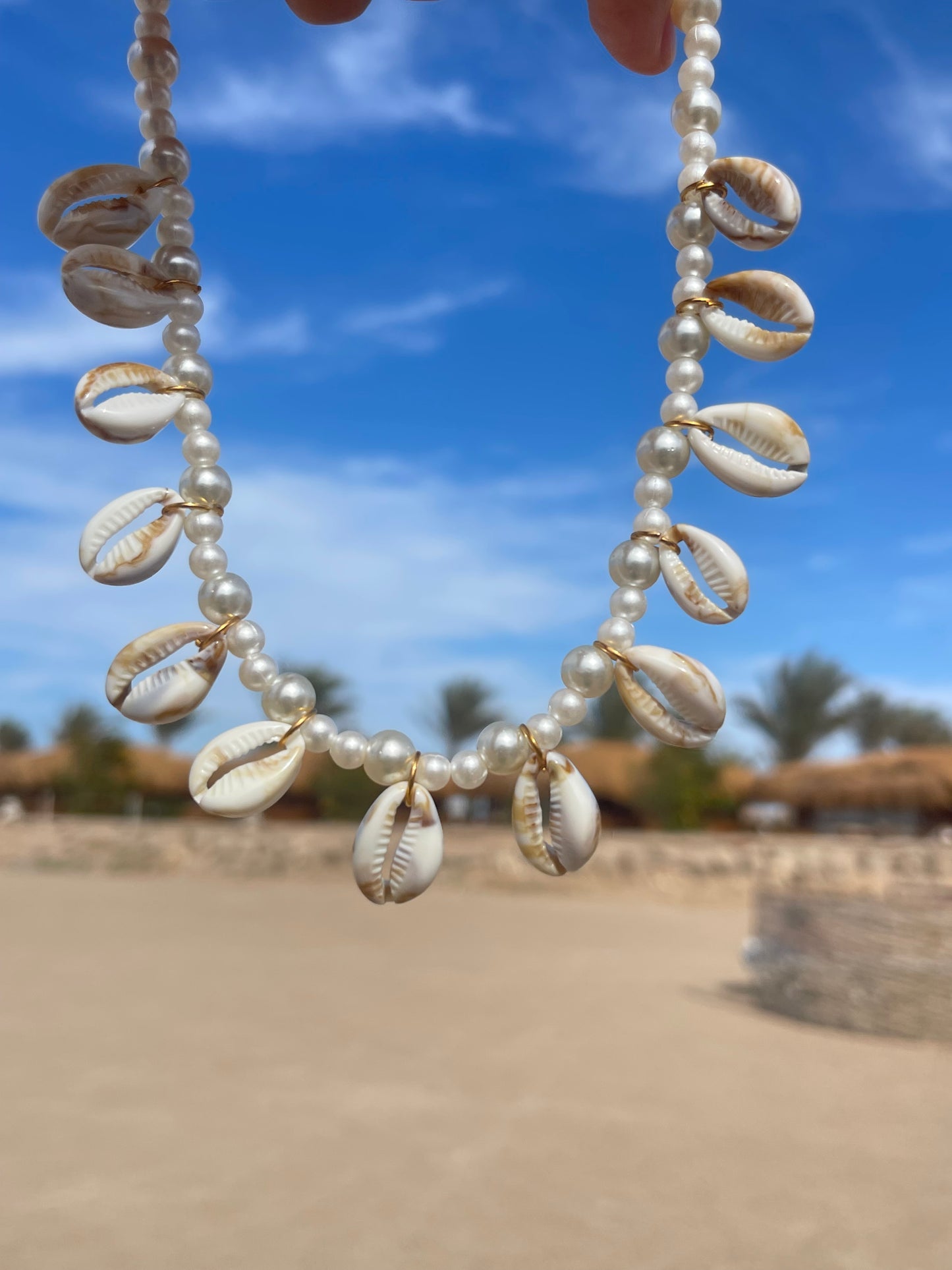 Shells All Around Necklace🤍✨🌊