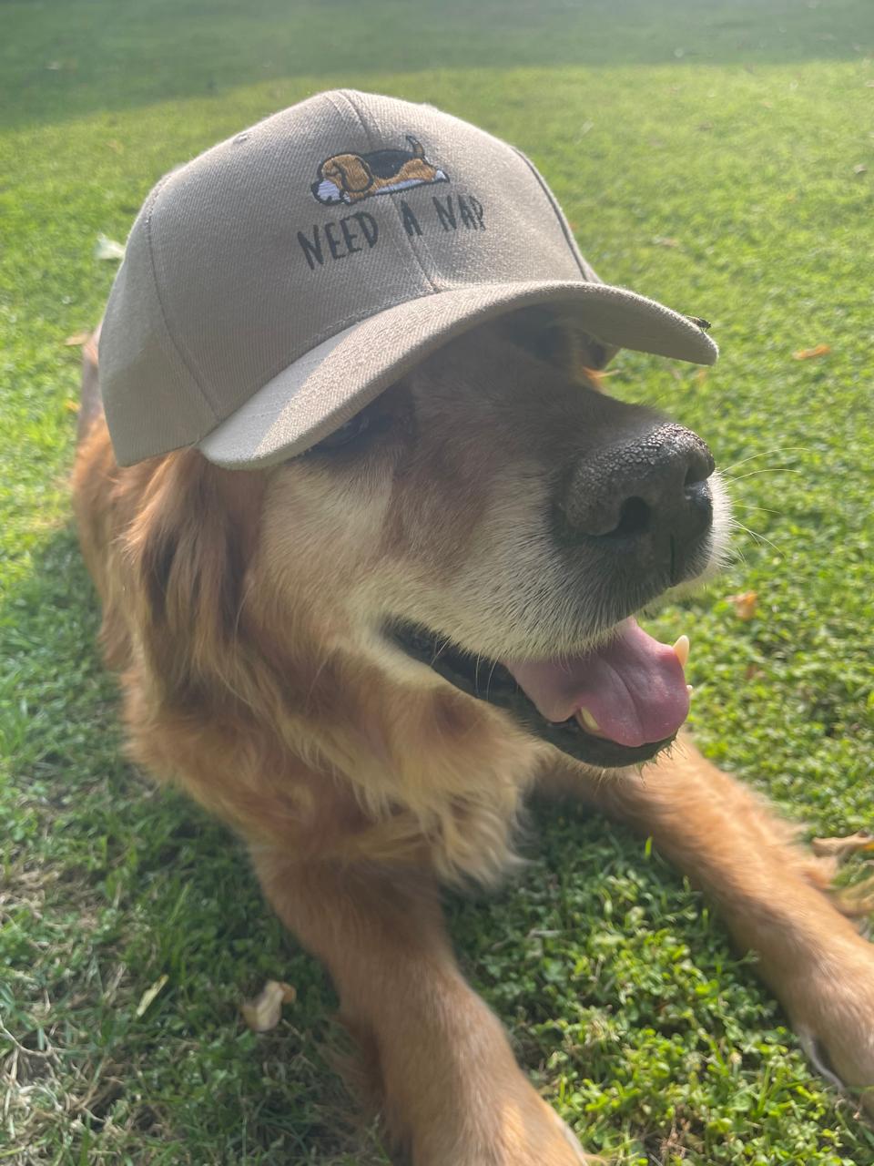Sleepy Puppy Cap🐶🐾 - Drop 1.0!