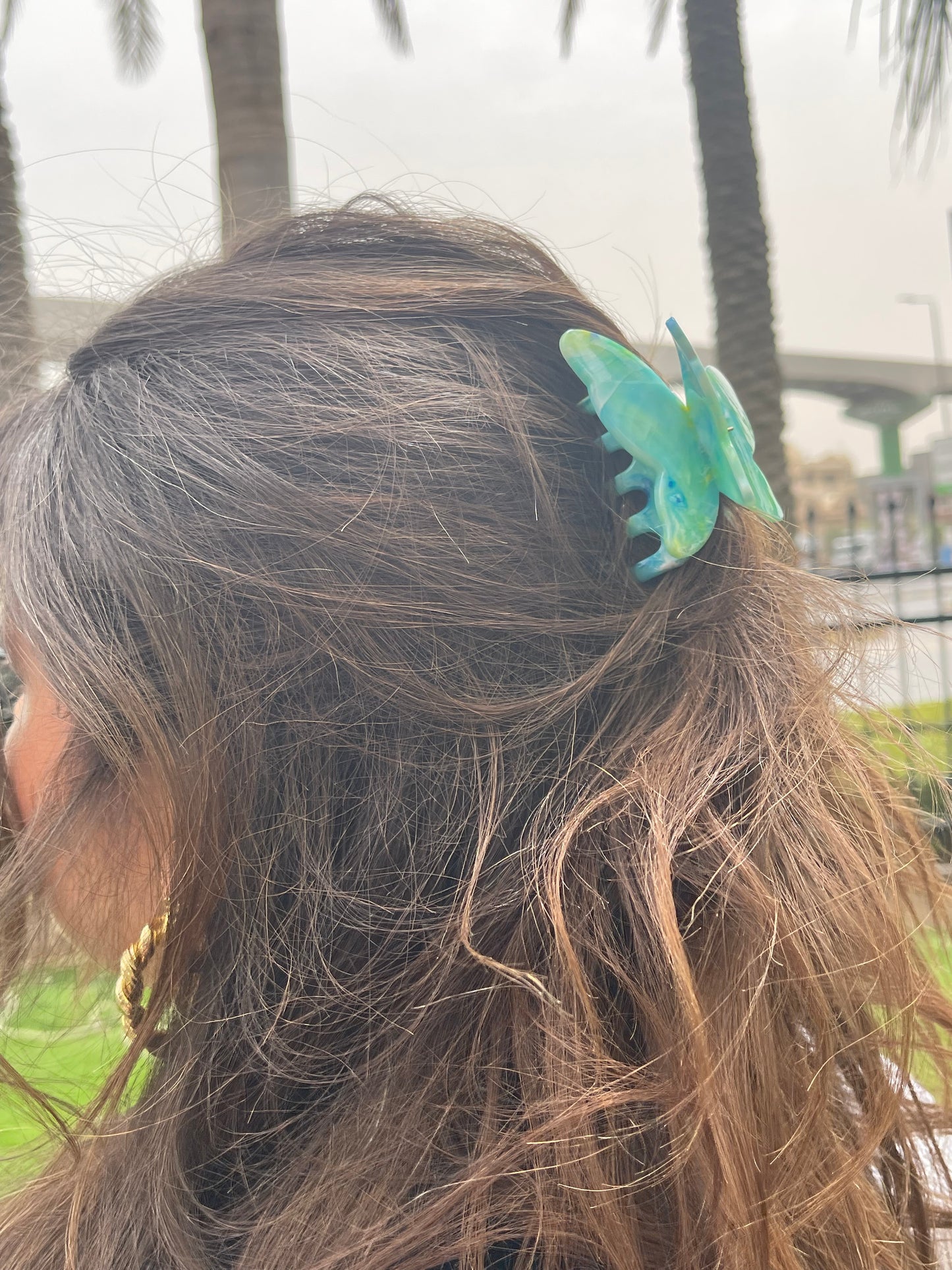 Butterfly Claw Clips 2.0h