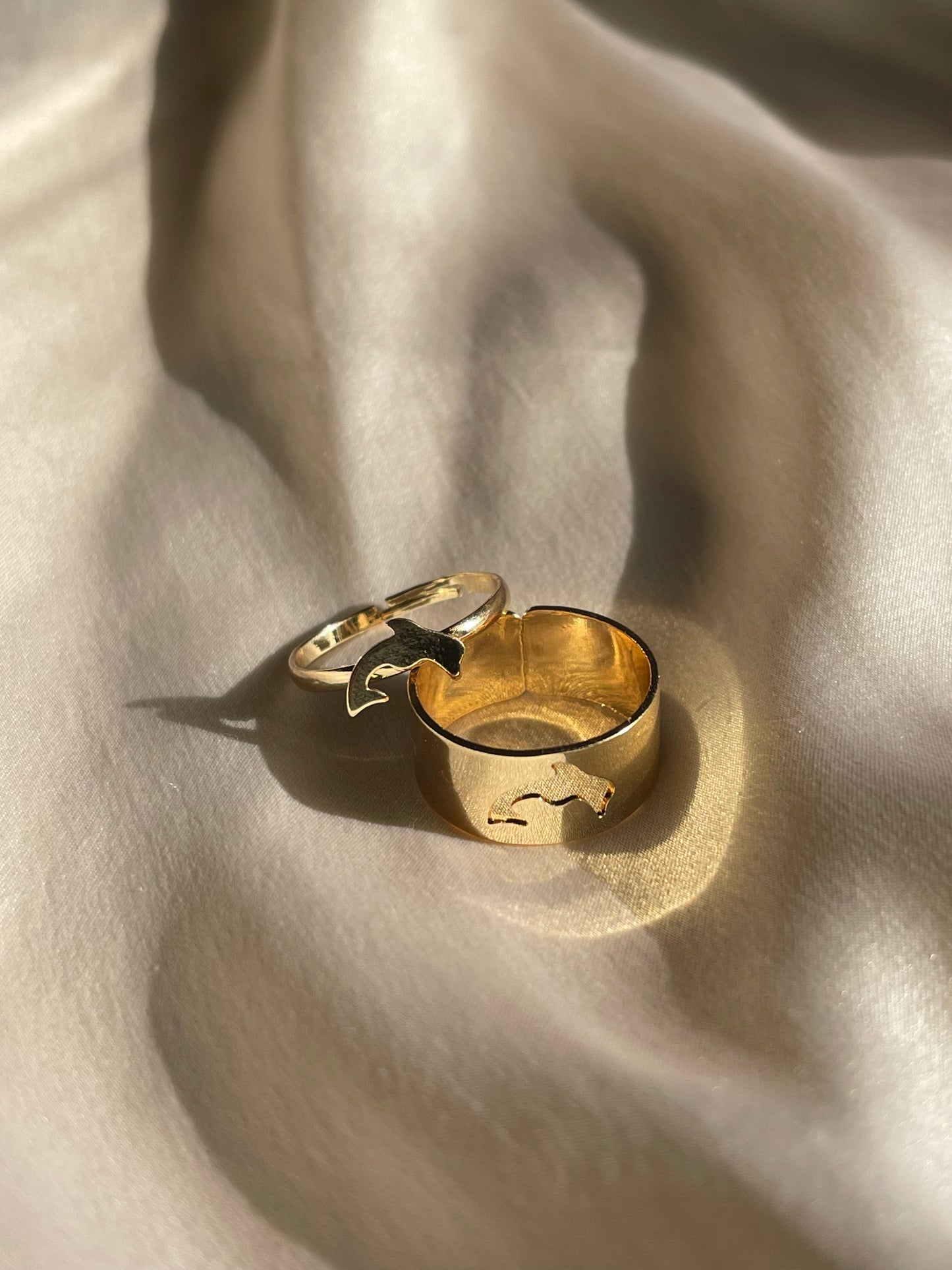 Dolphin Tale Matching Rings