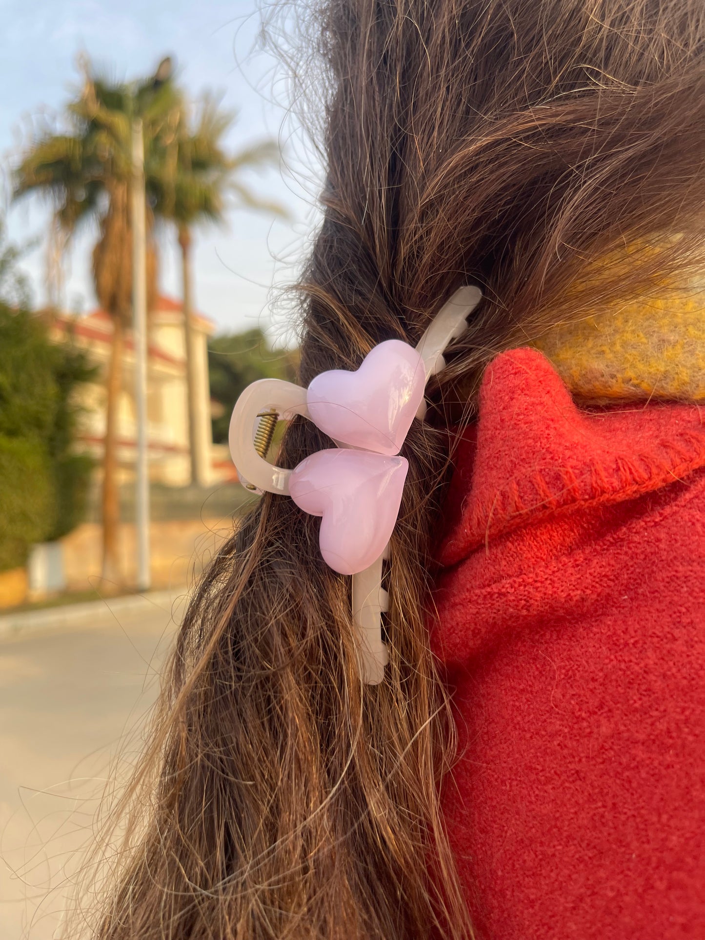 Hearts All Around Claw Clip 2.0