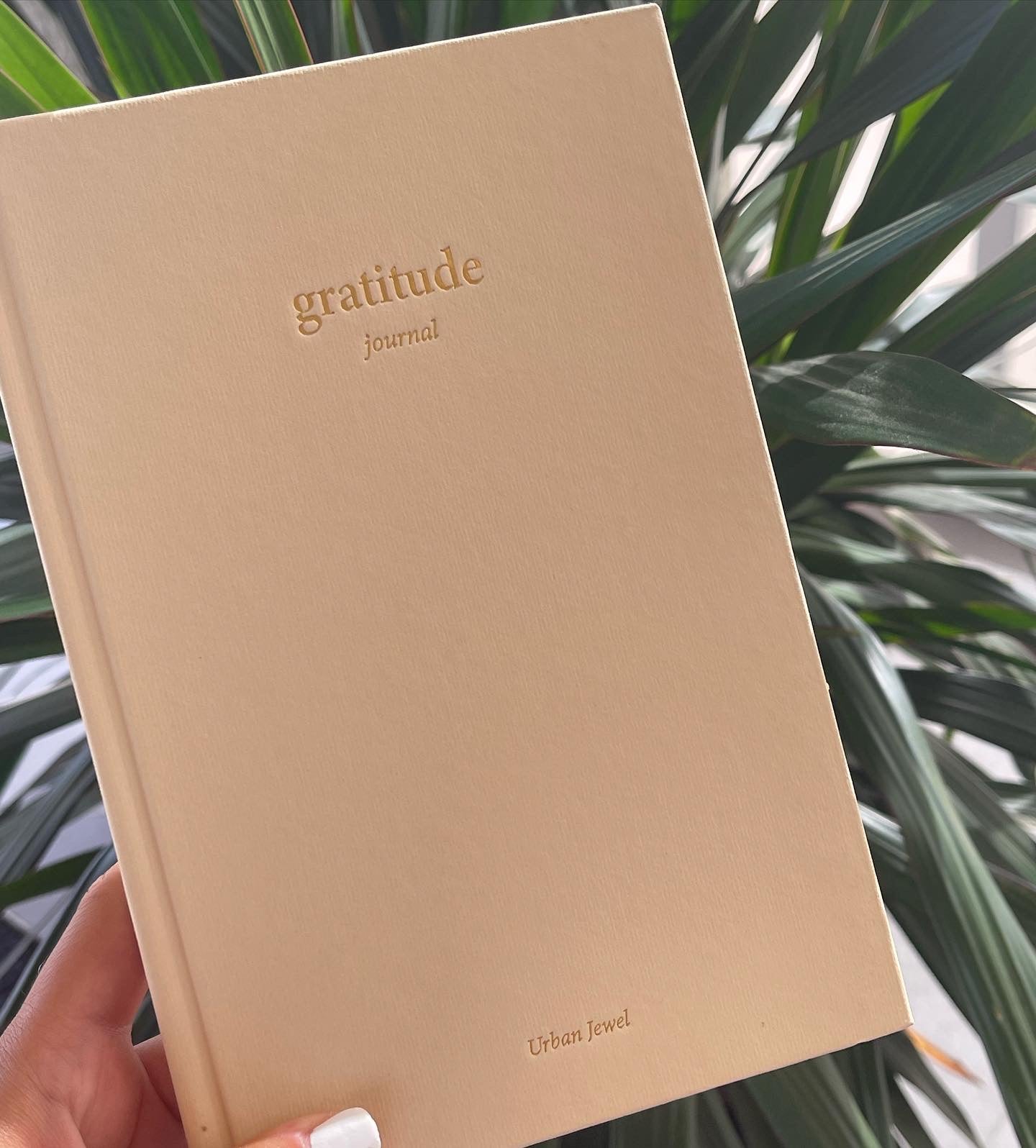 GRATITUDE JOURNAL🥹💗✨