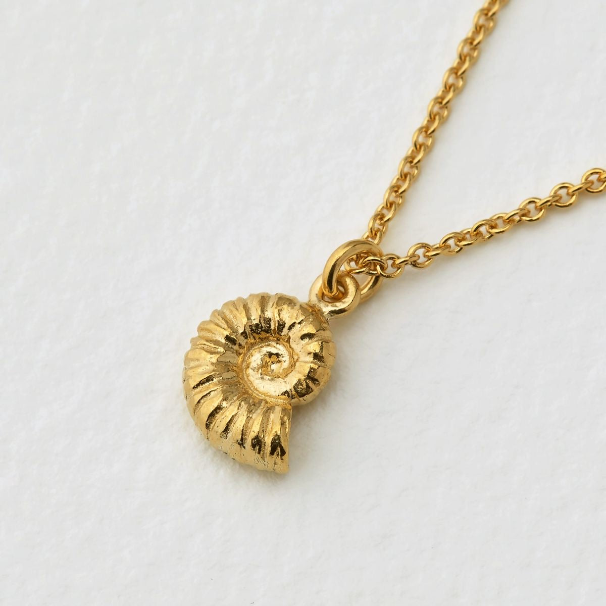 Seashell Necklace- Stainless Steel