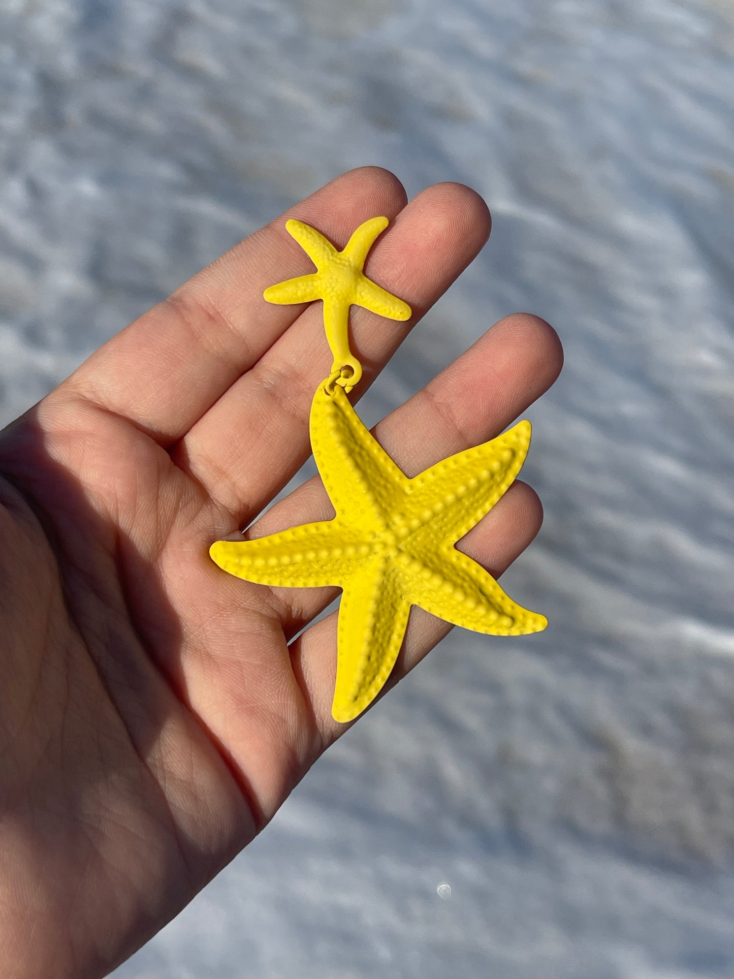 Colorful Starfish Earrings