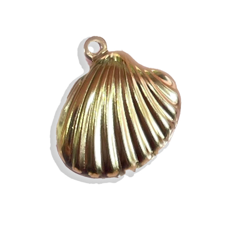 Stainless Steel Shell Charm