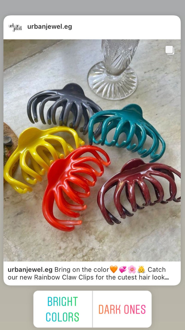 Rainbow Claw Clips