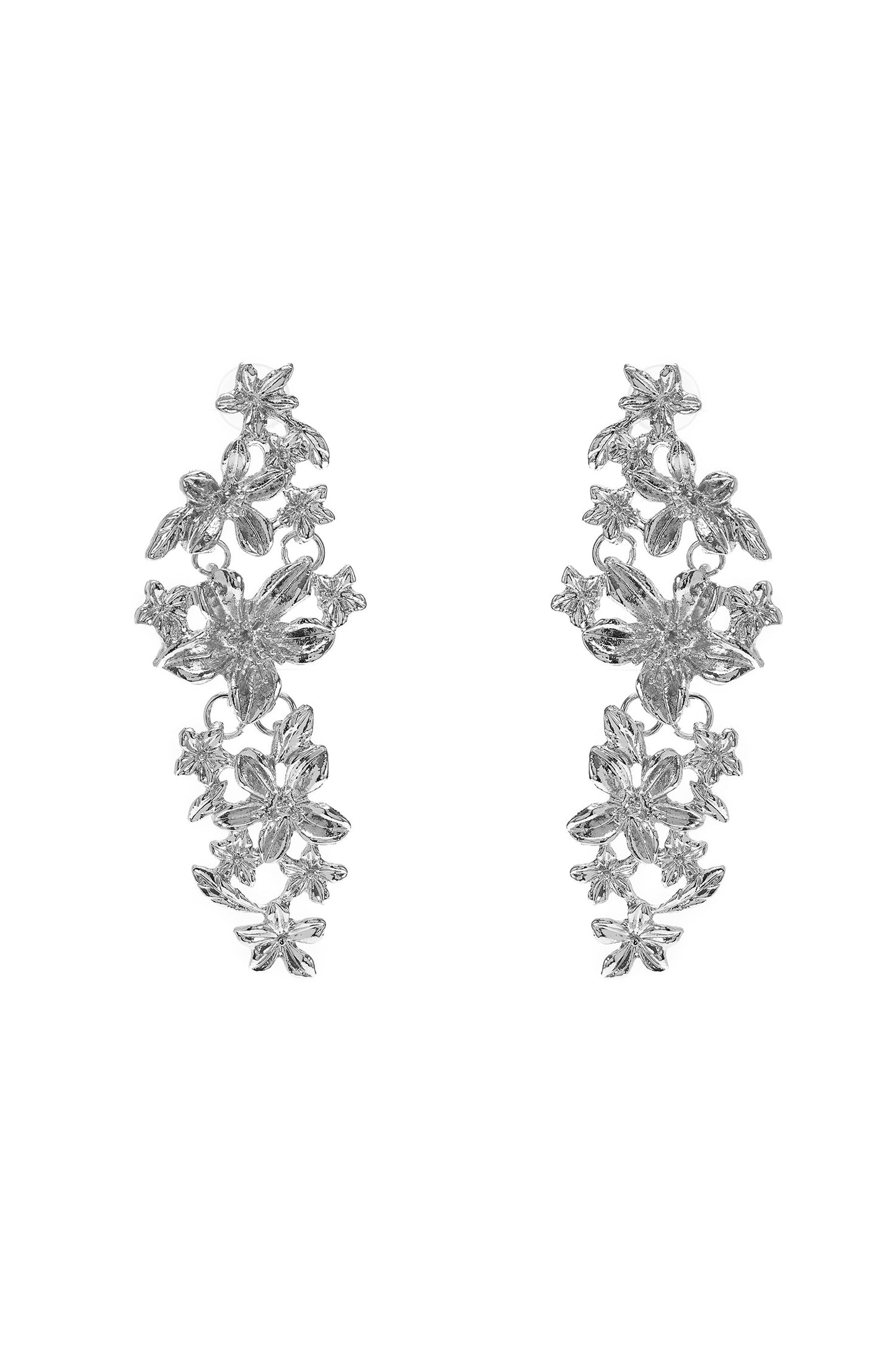The Silver Snowdrop