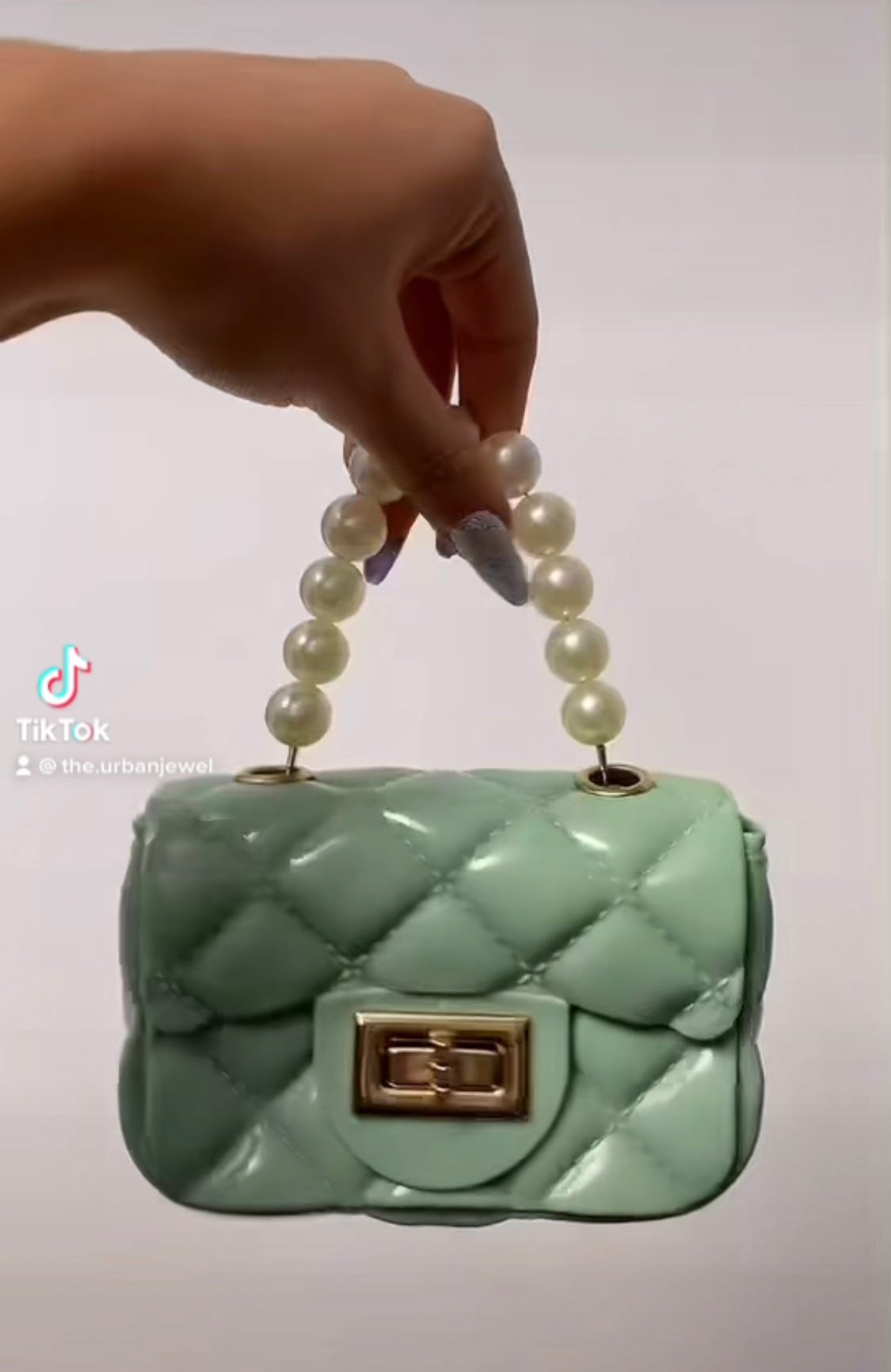 Iconic Mini Purse
