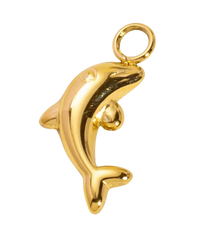 Mini Dolphin Charm (Stainless Steel)