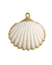 White Shell- Gold Plated