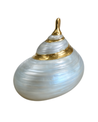 Pearl Seashell Charm- Gold Plated