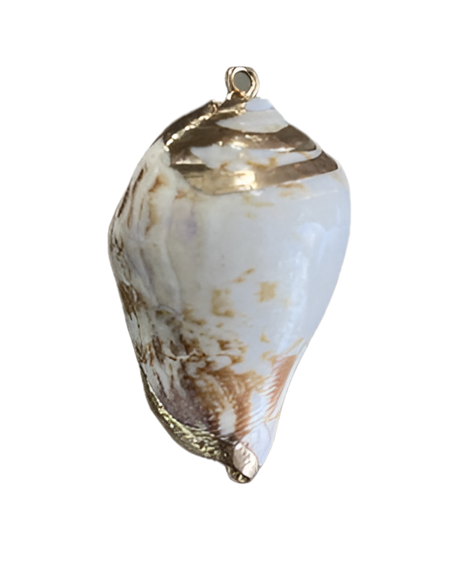 Statement Seashell Charm- Gold Plated