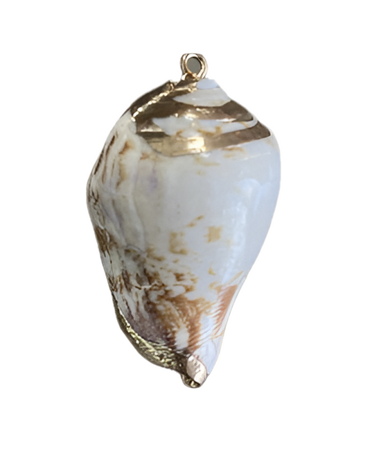 Statement Seashell Charm- Gold Plated