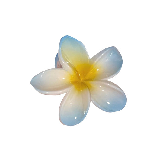Acrylic Hawaiian Claw Clip 2.0
