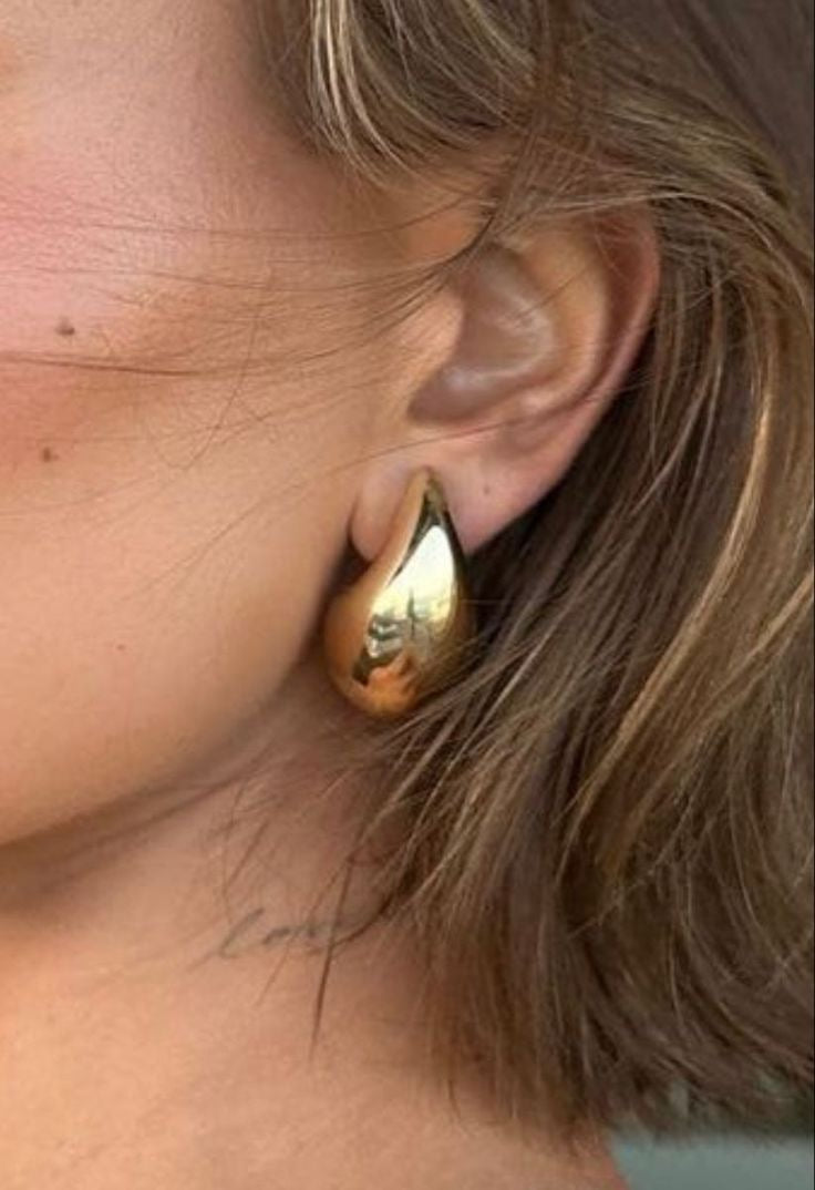 The Drop Earrings (Stainless Steel)