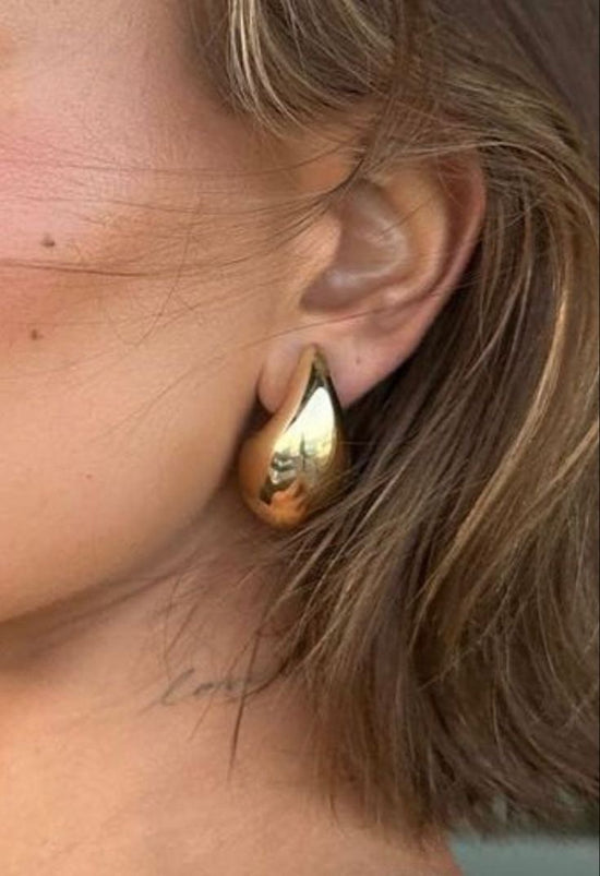 The Drop Earrings (Stainless Steel)