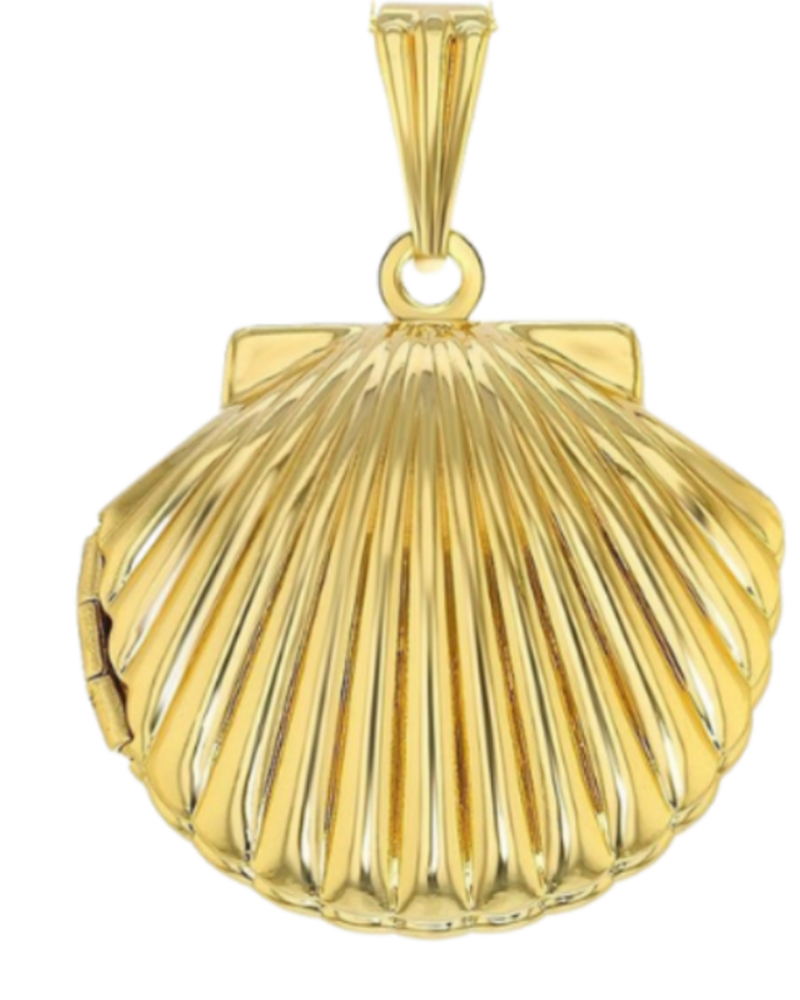 Shell Charm - Stainless Steel