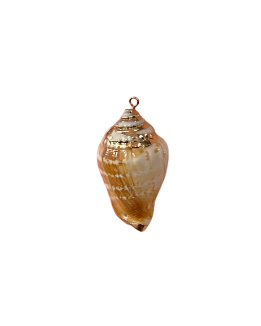 Seashell Charm-Gold Plated