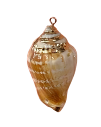 Seashell Charm-Gold Plated