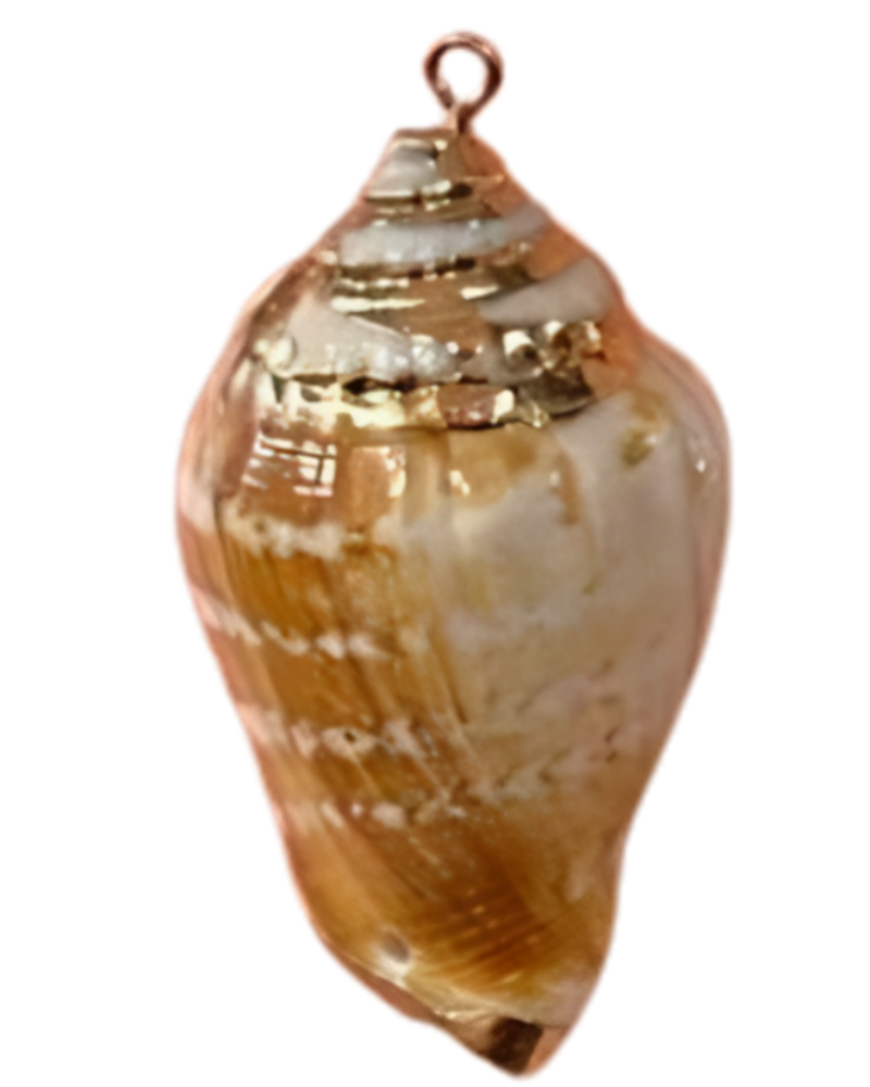 Seashell Charm-Gold Plated