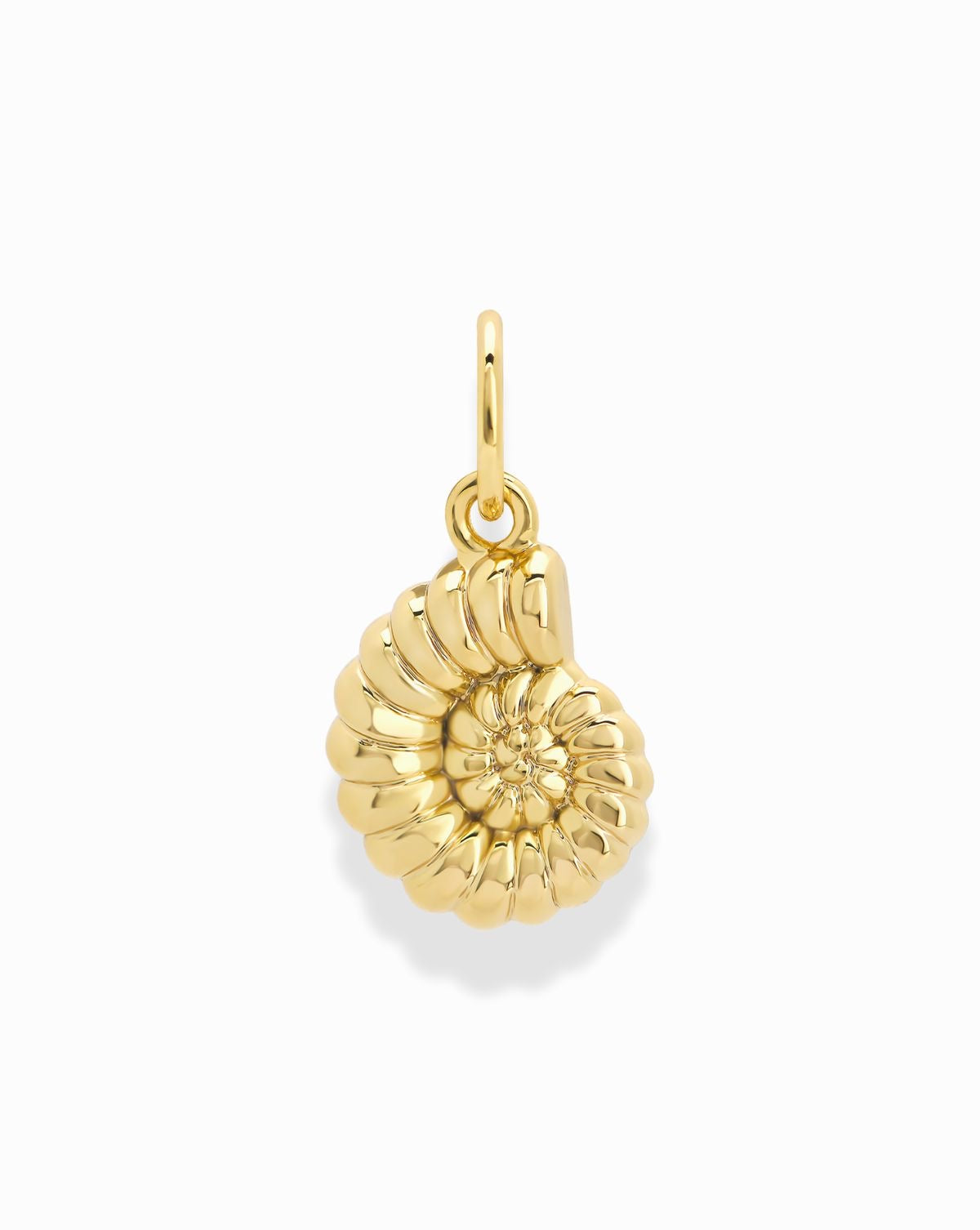 Shell Charm (Stainless Steel)