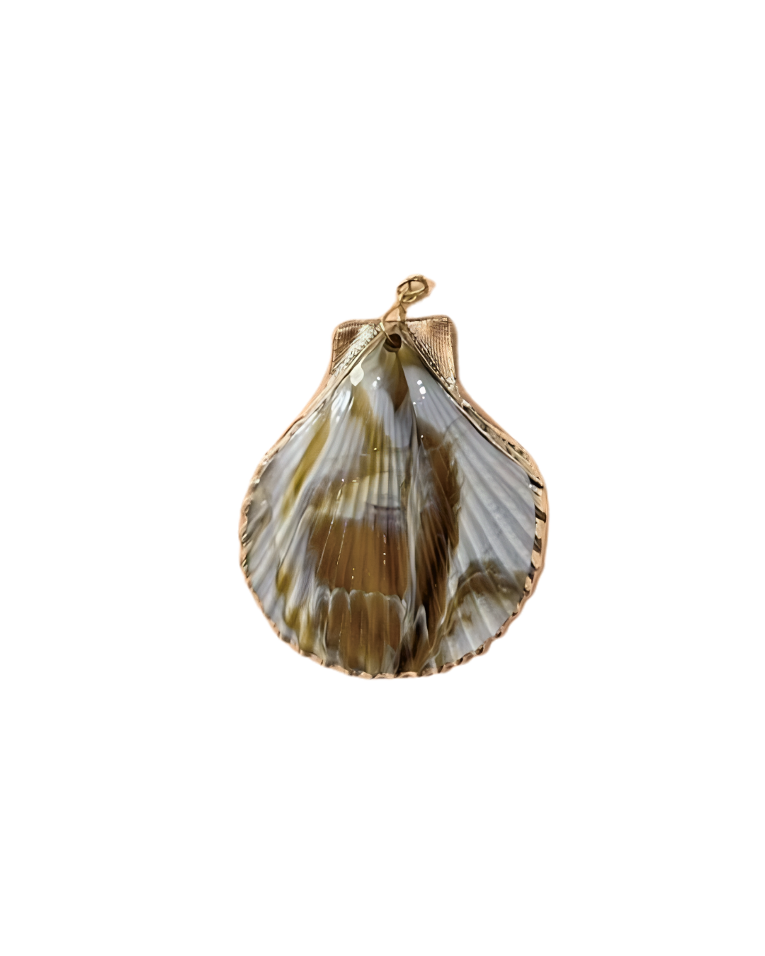 Statement Seashell Charm