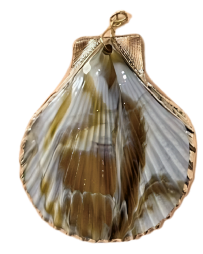 Statement Seashell Charm