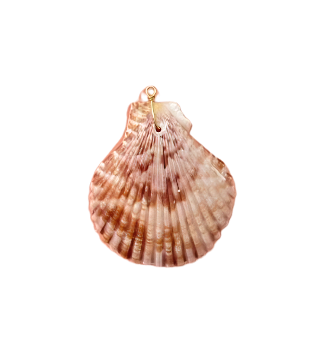 Pink Seashell Charm