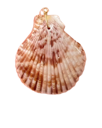 Pink Seashell Charm