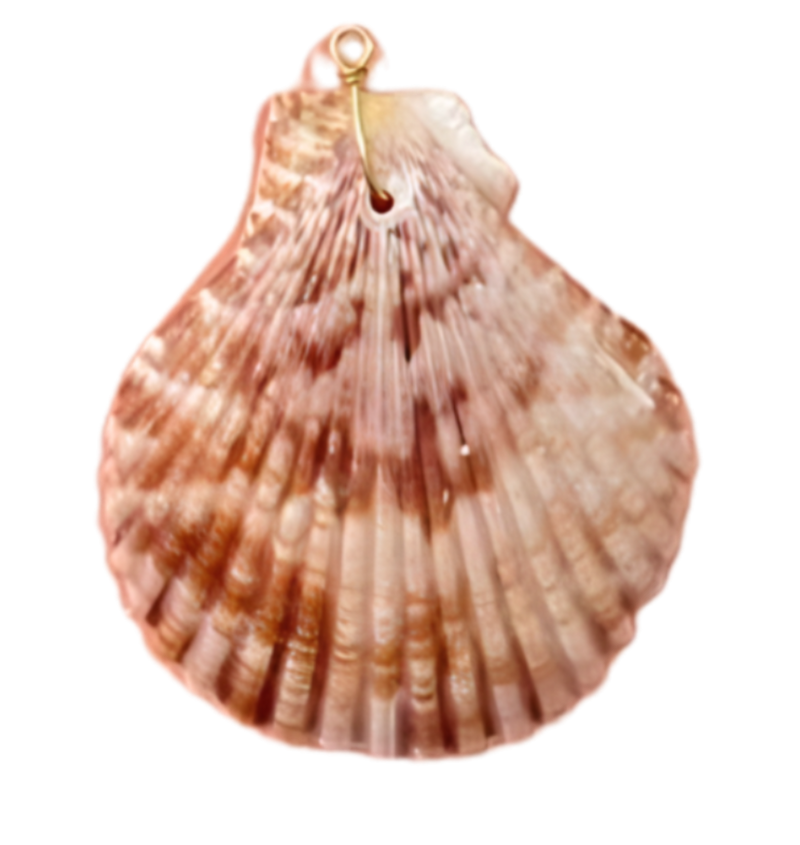 Pink Seashell Charm