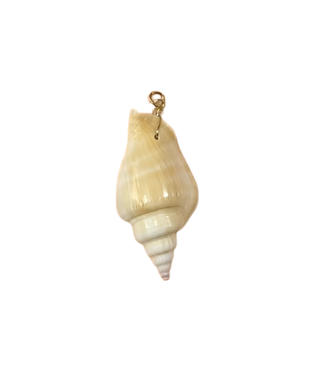 twisted shell charm