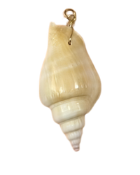 twisted shell charm