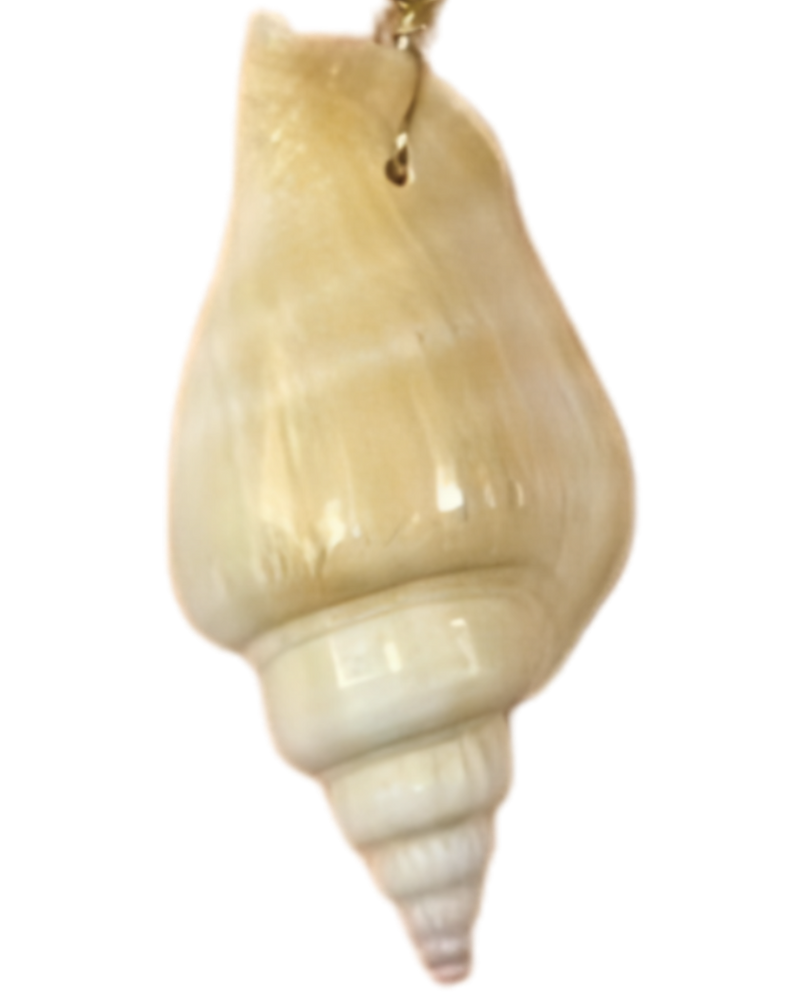 twisted shell charm