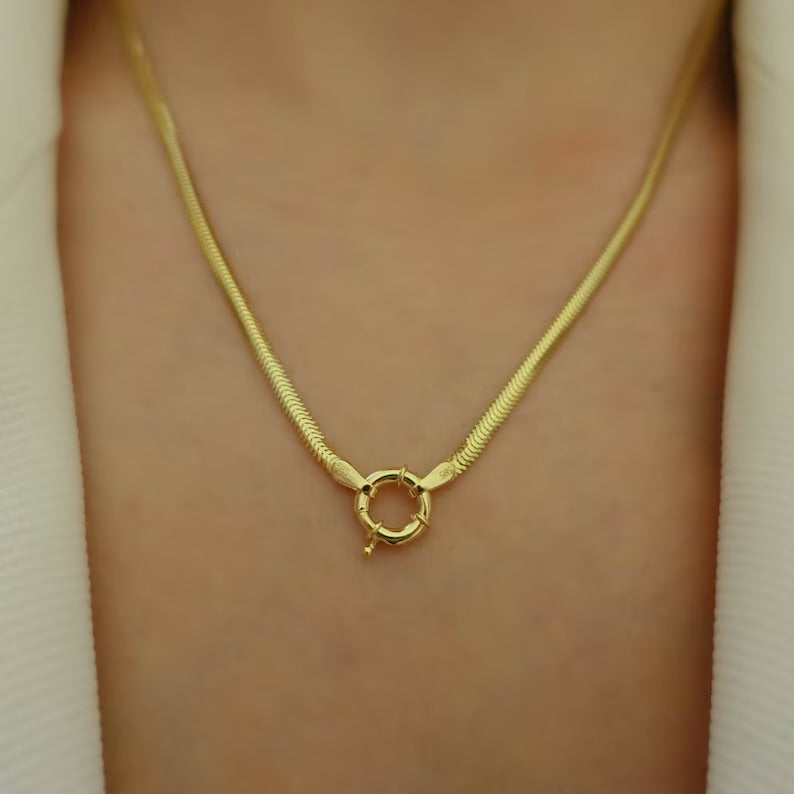 Snake Lock Necklace